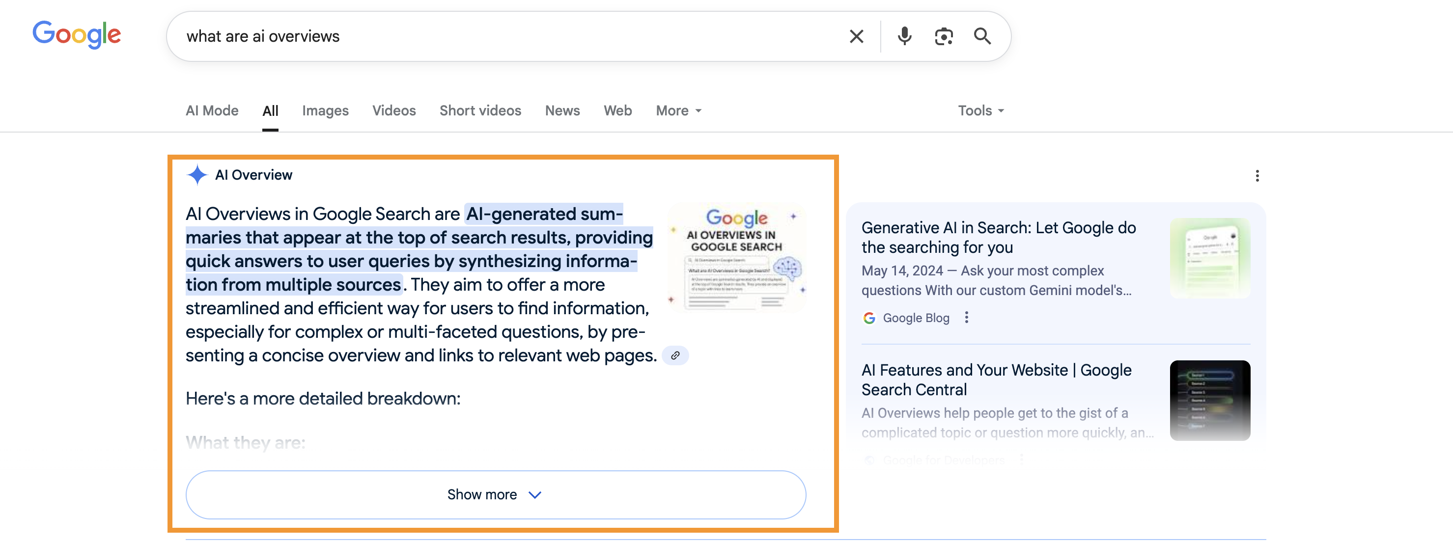 Google AI Overviews screenshot